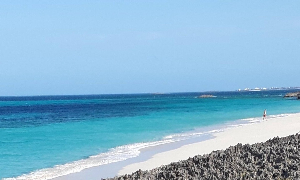 Man O War Cay House | Amazing Beach & views- Lyme Hall