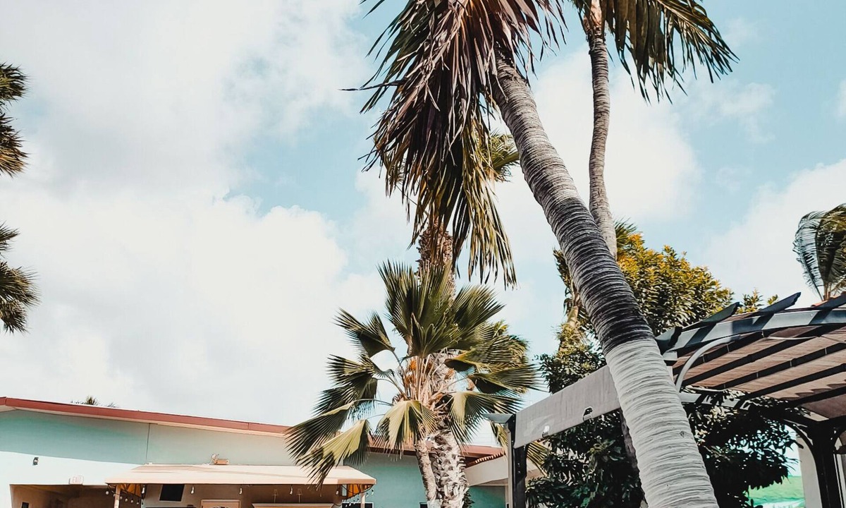 Bubali Hotel | Arubiana Inn