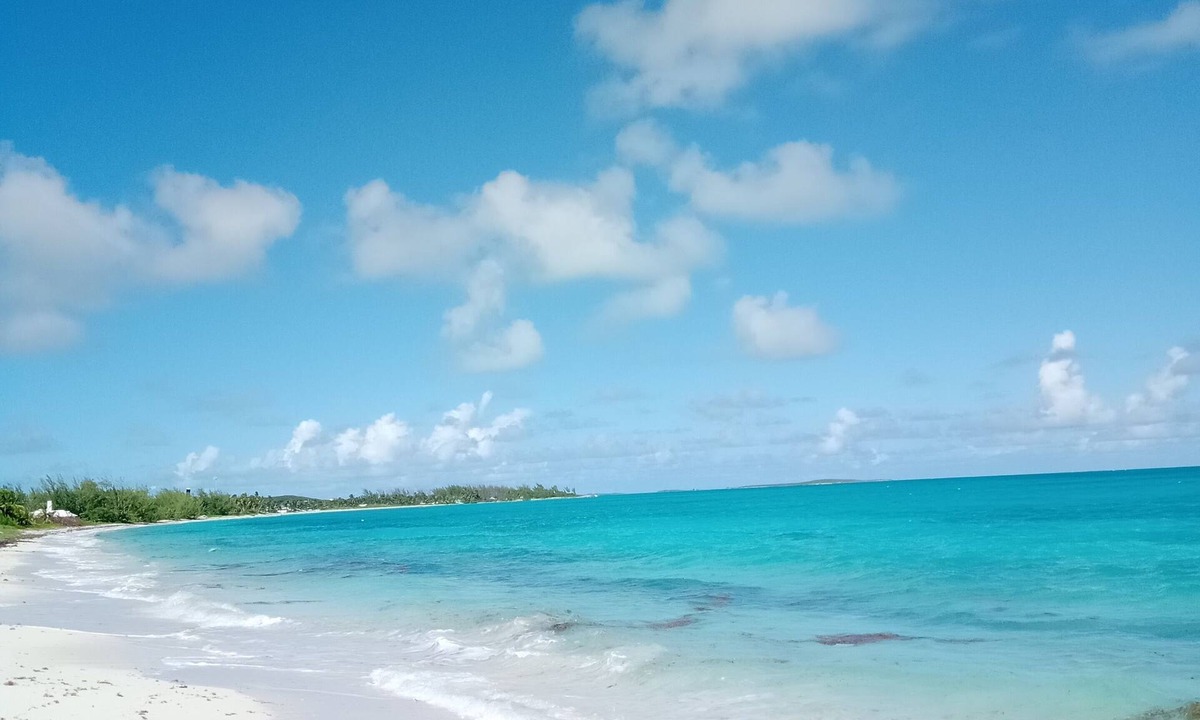 Rokers Point House | Beach Front, Calypso @ Flamingo Bay Rokers Point/Harts
