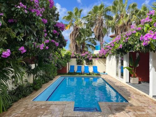 Palm Beach House | Best Villa at a TOP location