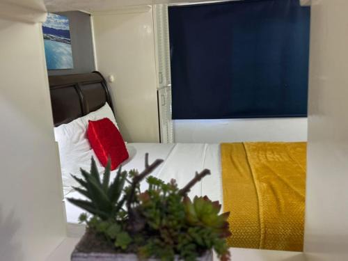 Eden Gardens Apartment | Budget Kingston Classic - Kensington Nest