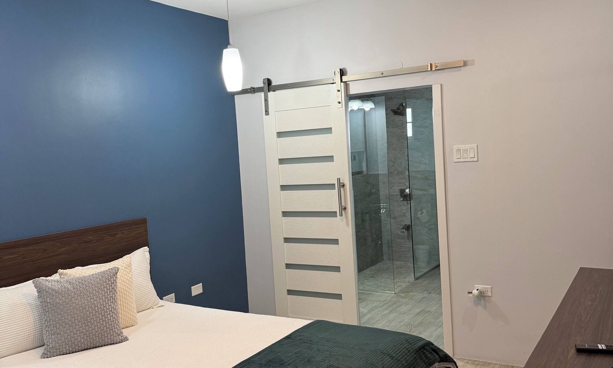 New Kingston Apartment | Charming 1-bedroom apartment with AC in vibrant Kingston