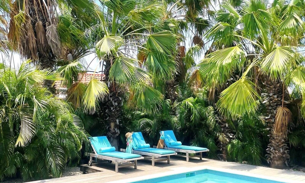 Bubali Villa | Endless Summer - Stunning 3-bedroom Vacation Villa located in Noord.