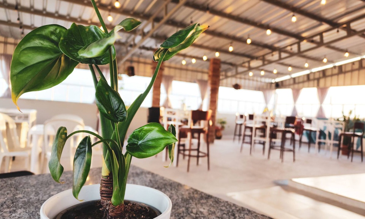 Salcedo Hotel | Hotel Quinto Nivel RD