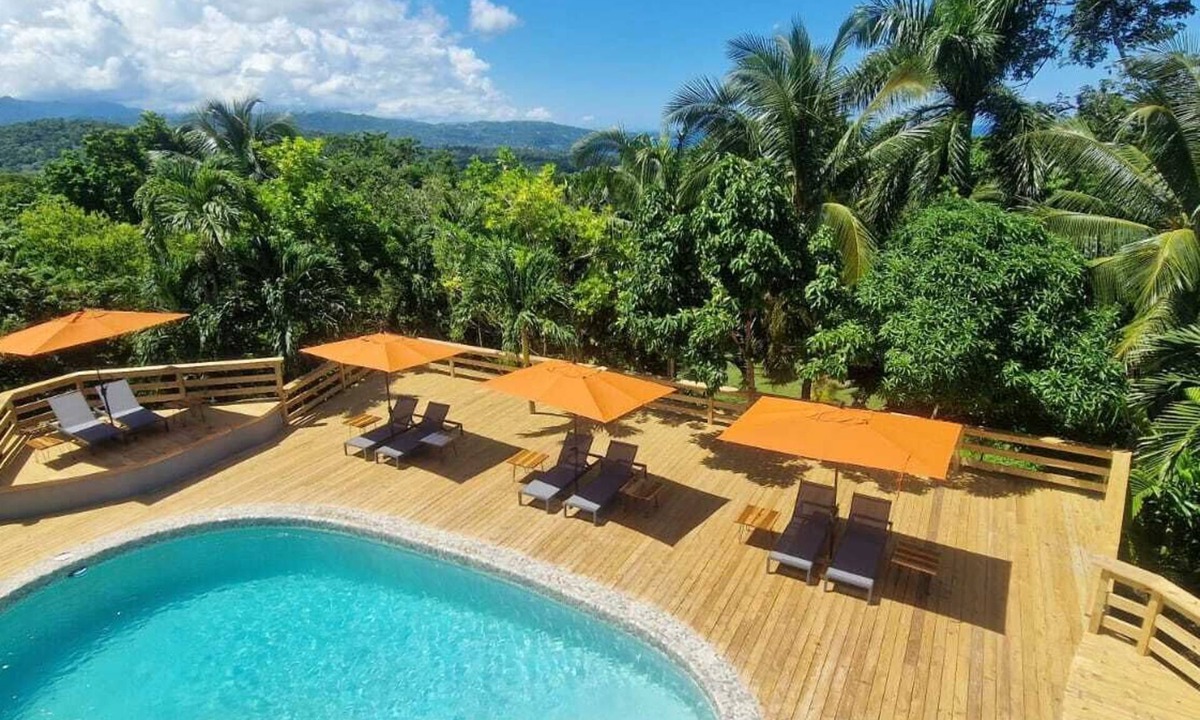Drapers Hotel | LF Jungle Retreat