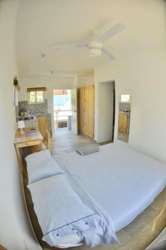 Cabarete Apartment | Mango House Leon studio