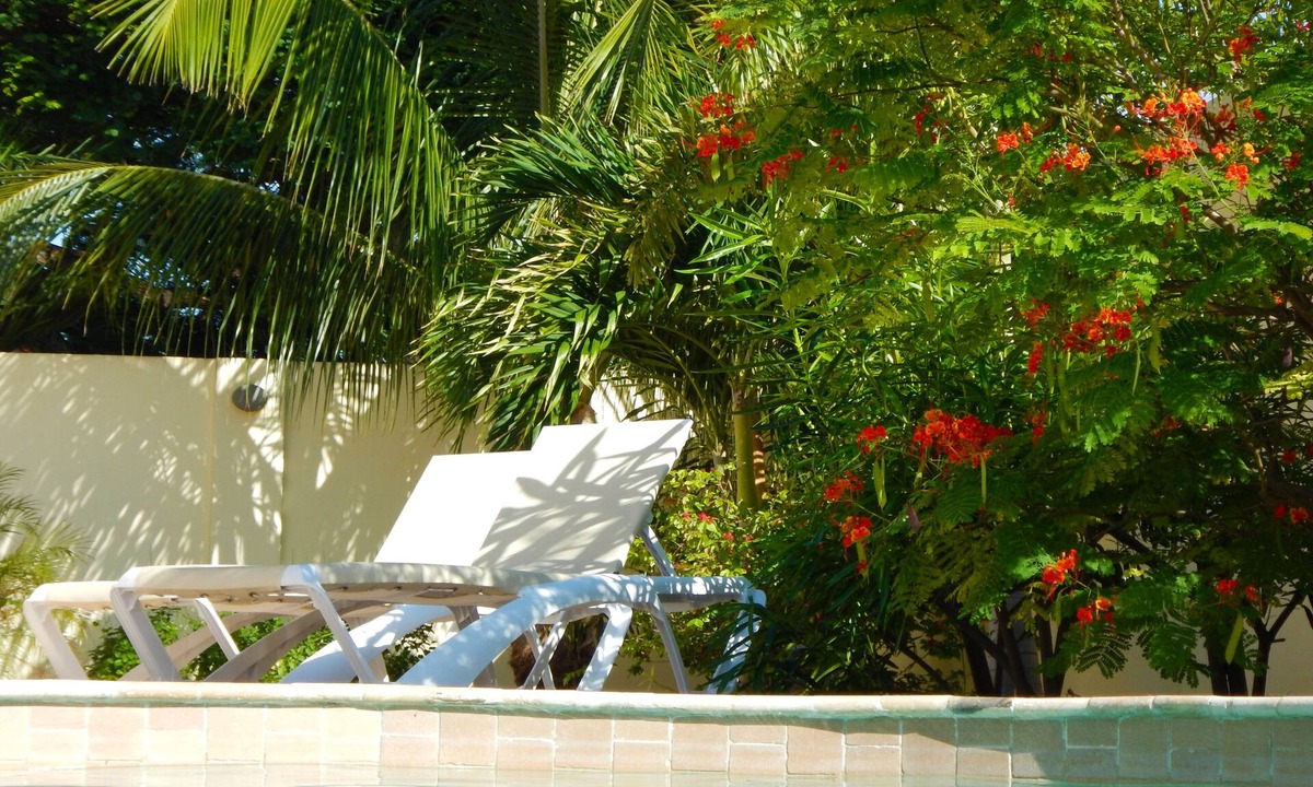 Oranjestad Villa | Mi Gusto Villa Charming Villa for 6