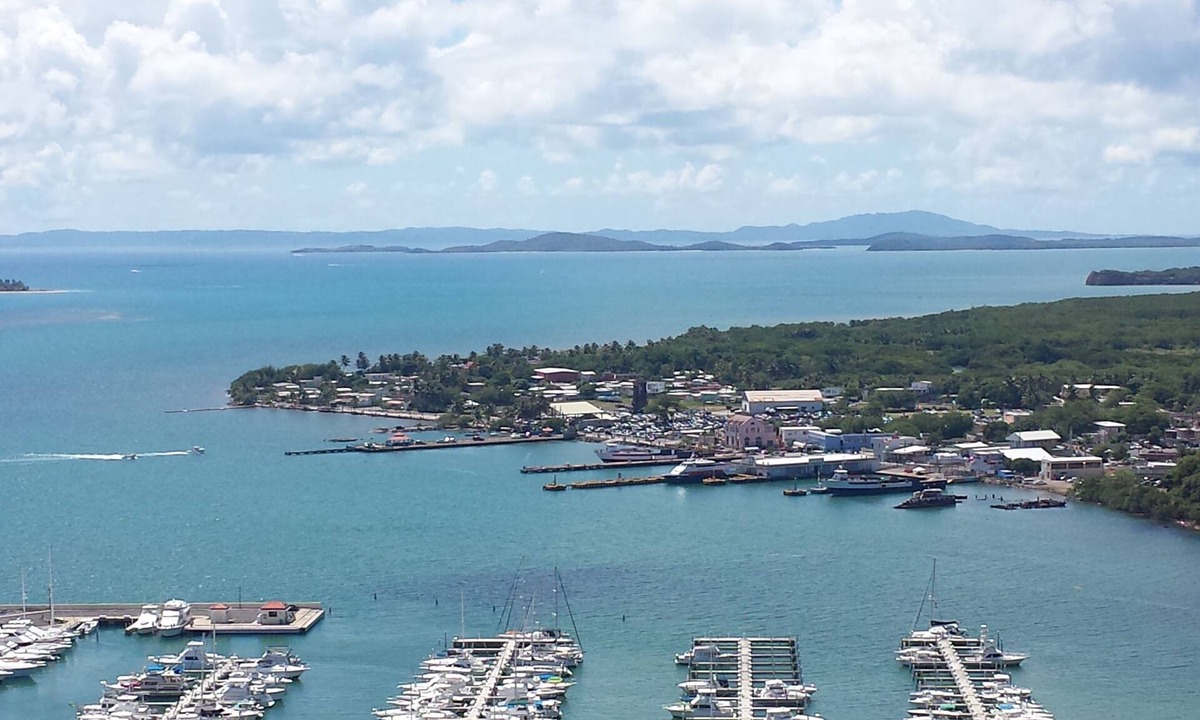 Sardinera Condo | Million Dollar View from Atlantic Ocean & Caribbean Sea, Rainforest Wildlife.