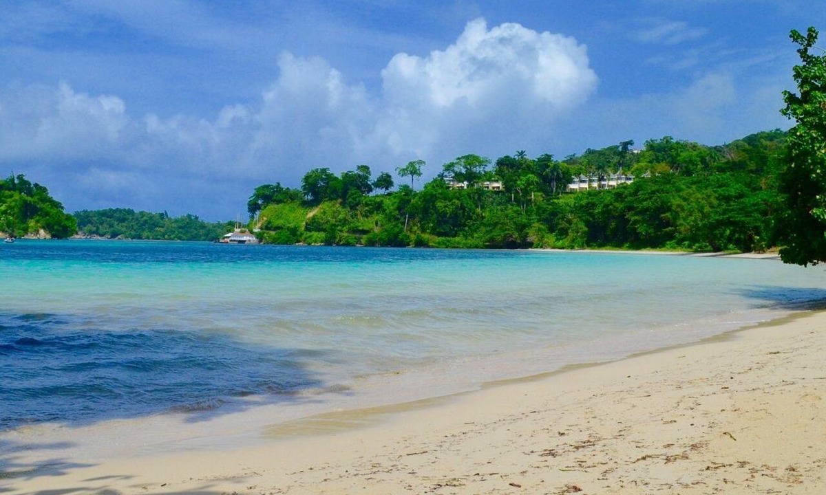 Drapers House | Ocean View Stay at Serene Haven near Port Antonio