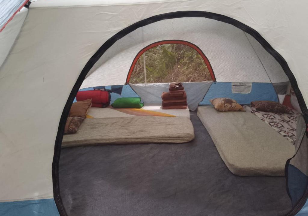 Blue Mountains National Park Other | Pine Ridge 4-Person Tent