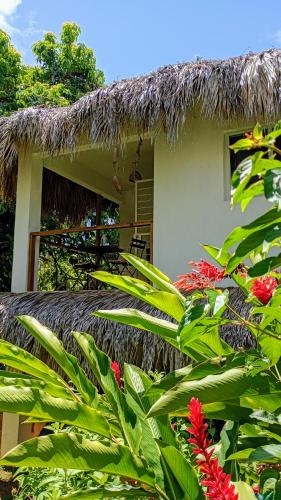 Las Galeras Apartment | Quédate Aquí