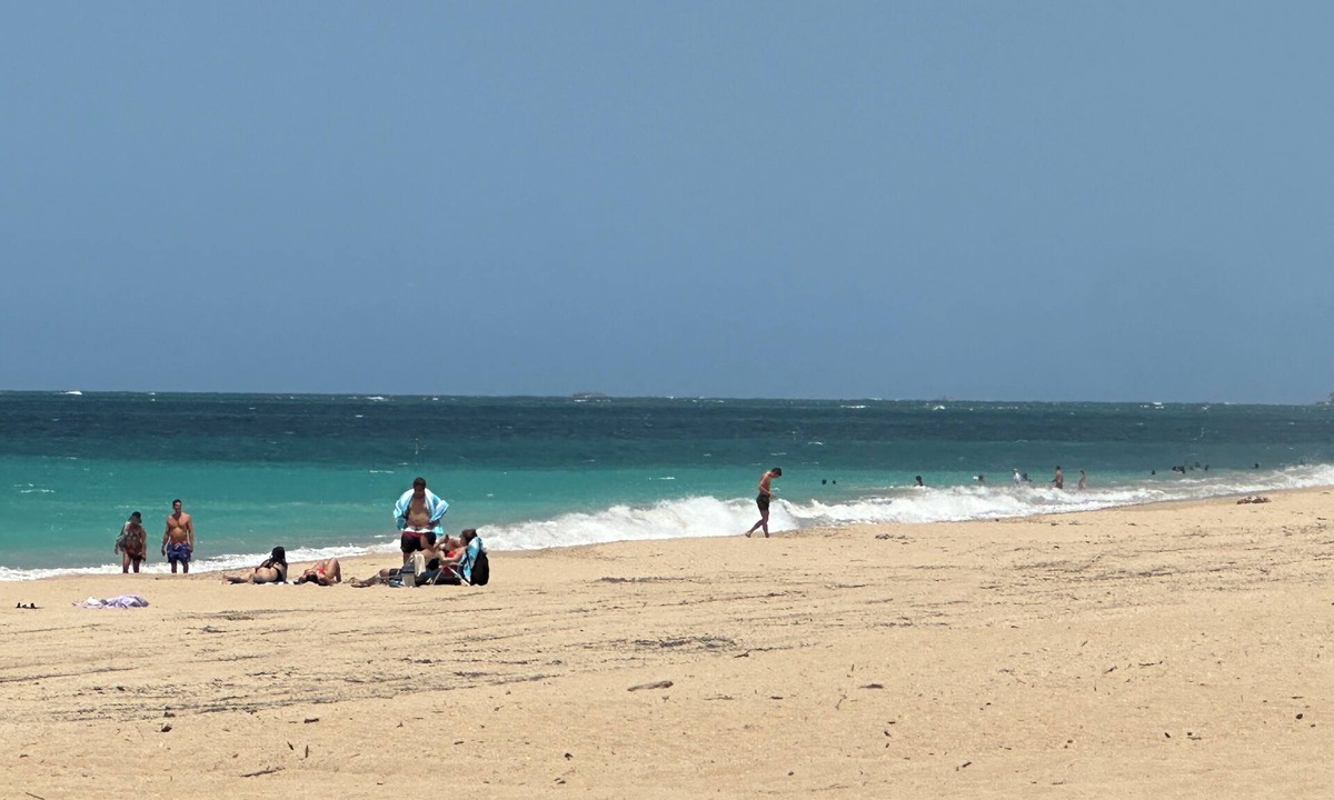 Parque Apartment | Studio Apartment by the Beach, Pool, Nightlife and Eats