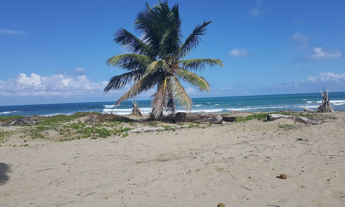 Cabarete Apartment | Studio with sea views, right on the beach, breakfast included!