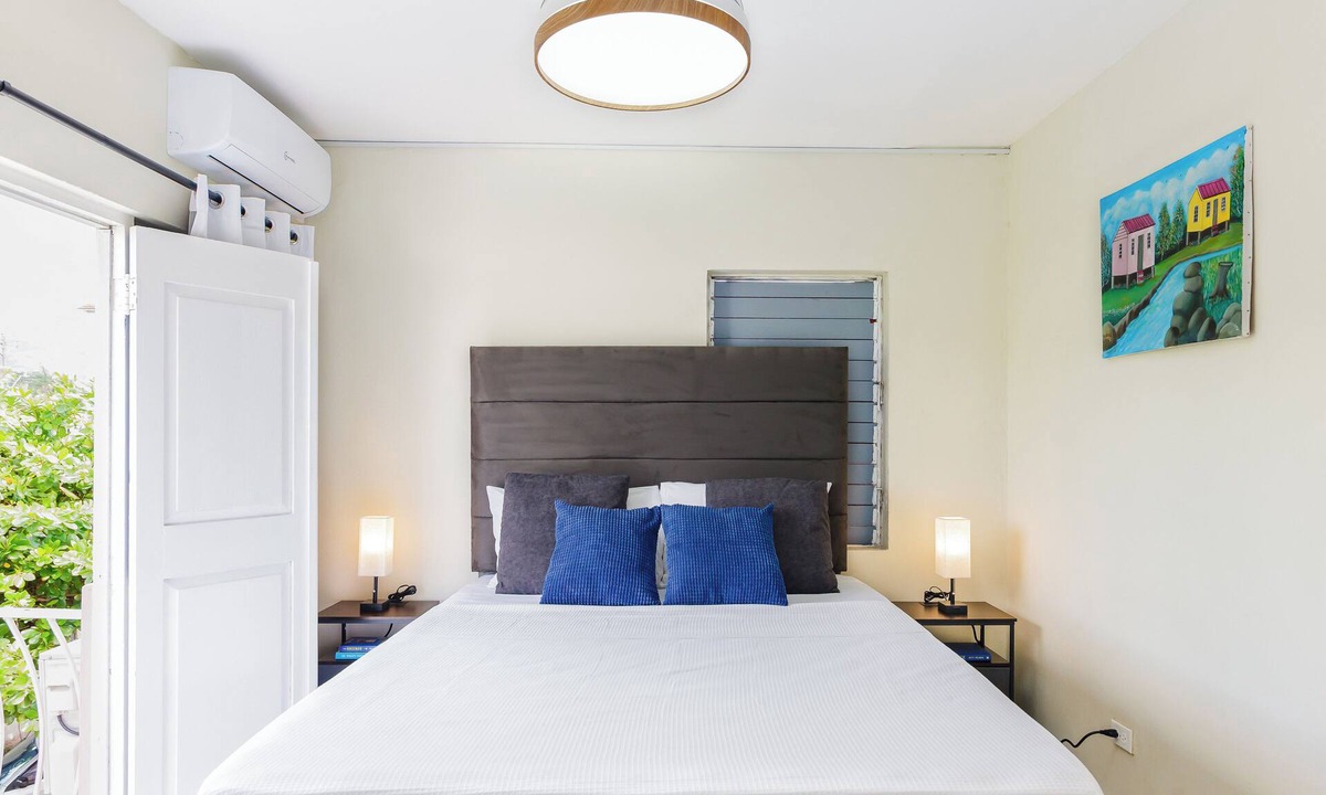 Camperdown Apartment | The Kingston Vista Suite - Central Cozy 1-Bedroom Apt in Kingston with AC