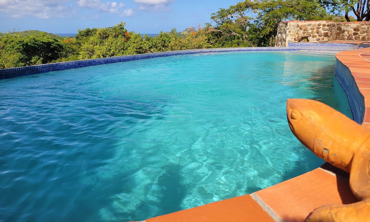 Gros Islet Villa | Zazen - Private pool with ocean views.