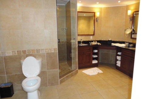 Palm Beach Resort | 2/2 Divi Aruba Phoenix Beach Club Resort/Spa
