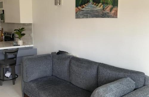 New Kingston Apartment | 2Bed Apartment - Pool Garden Parking