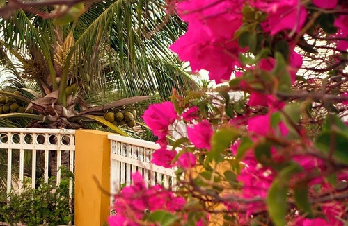 Palm Beach Apartment | 7-min Walk to Beach, King Bed, Jacuzzi Costa Caribe Studio