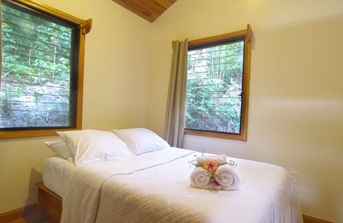 Macaw Bank House | $ 99 - $ 124 a night, Private, cozy, home rental -watch the howler monkeys !