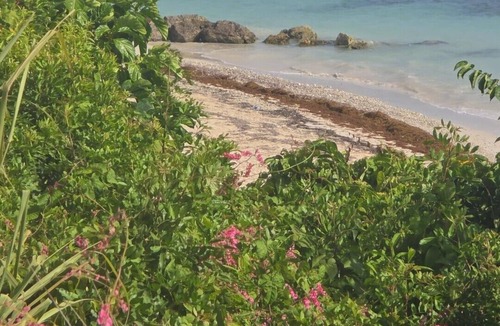 Montego Bay Apartment | Awesome 1-bedroom apartment with AC in Montego Bay