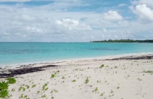Rokers Point House | Beach Front, Calypso @ Flamingo Bay Rokers Point/Harts