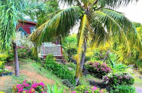 Cap Estate Cottage | Beachfront Cozy Apt. Min to Beach, ROYALTON & Sandals. 2 miles from Rodney bay