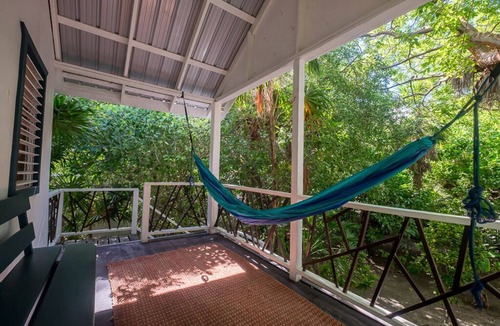 San Pedro House | Beautiful treehouse with lush green surroundings