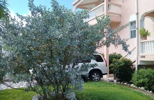 Anse La Raye Apartment | Best View Apartments- 270 Degrees Ocean View- Walk to the Beach