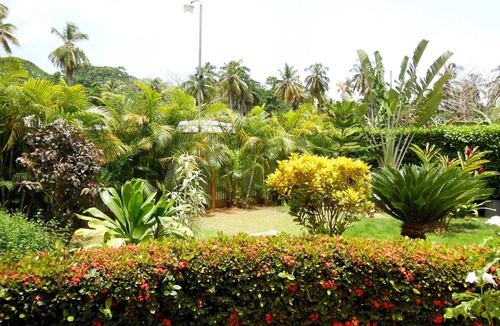 La Ceiba Apartment | Casa Lily & Coco - Studios for rent