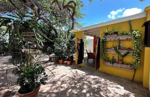 Savaneta Cottage | Casa Tropical Cottage w/Pool