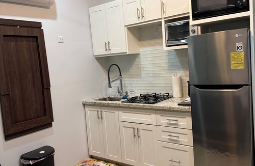New Kingston Apartment | Charming 1-bedroom apartment with AC in vibrant Kingston