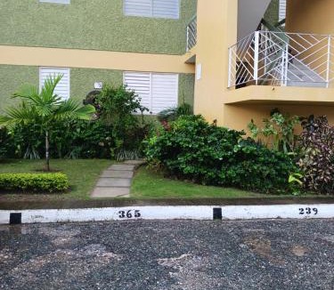 New Kingston Apartment | Chelsea Manor