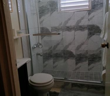 New Kingston Apartment | Chelsea Manor