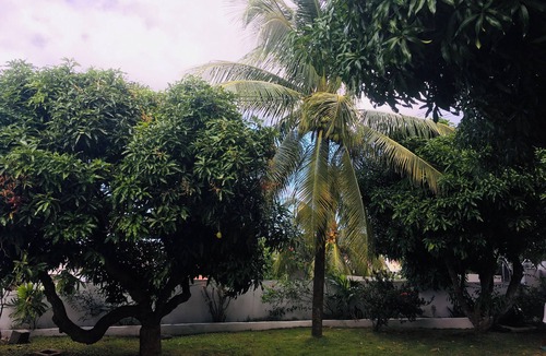 Marisule Apartment | Chic apart in Rodney Bay complete with A/C and internet access.