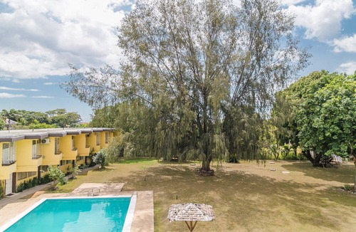 New Kingston Apartment | Choose To Be Happy at Seymour #9 - Studio Apartments w Pool