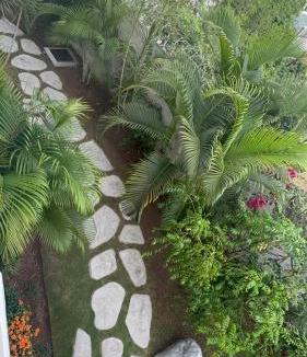 Havendale Apartment | City Abode Kingston Jamaica