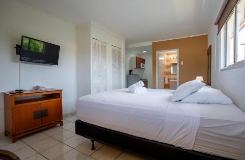 Palm Beach Hotel | Coconut Inn