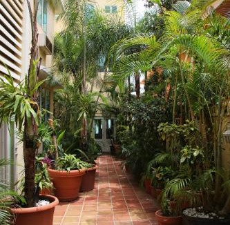 San Juan Hotel | Coral Princess Hotel