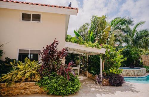 Noord Apartment | Cozy 1-bedroom-apartment 2 km from Eagle beach
