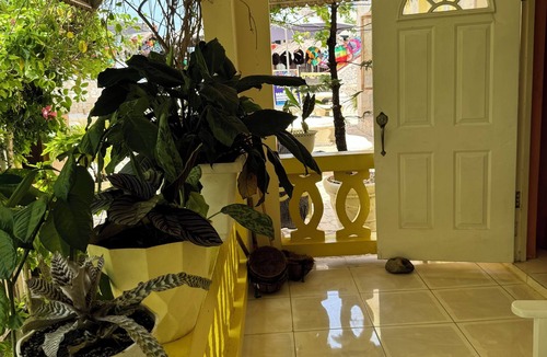 West End Apartment | Cozy Apartment near the beach in Jamaica