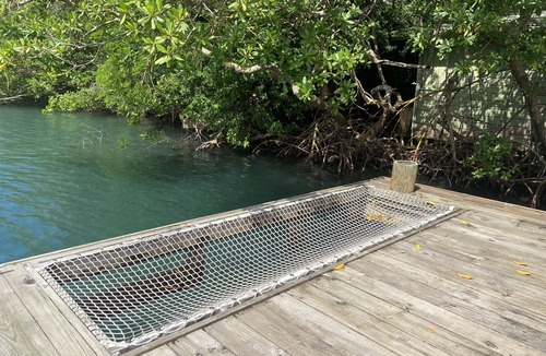 Marigot Bay Cabin | Delightful over the water cabin