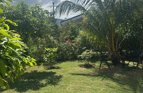 St. Ann's Bay House | Dell’s Exotic Haven 2 bedrooms, 2 baths, pool, gym