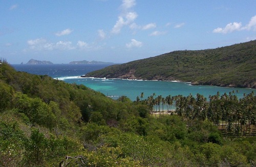 Spring Estate Apartment | Enjoy 'The Sweet Life' At Spring