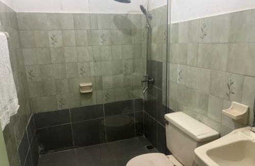 Santiago Province Apartment | FredyGreenhouse