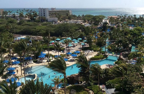 Palm Beach Resort | Garden View - Studio - Marriott's Aruba Surf Club - Full Resort Access