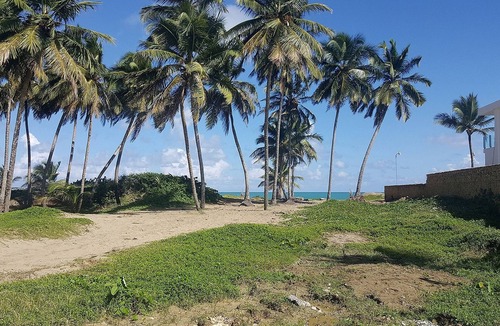 Cabarete Apartment | Ground-floor studio with full kitchen, right on the beach, breakfast included!