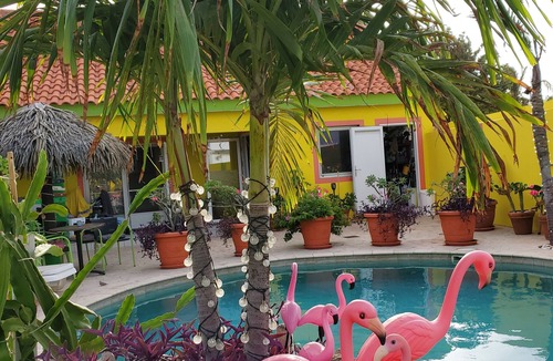 Tanki Leendert Resort | Happy Days, accommodation, Aruba, apartment, cozyfamily and pet friendly