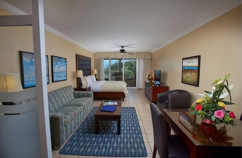 Oranjestad-West Hotel | Immerse In Studio Suite With Free Parking, Pets Welcome, Steps To Manchebo Beach