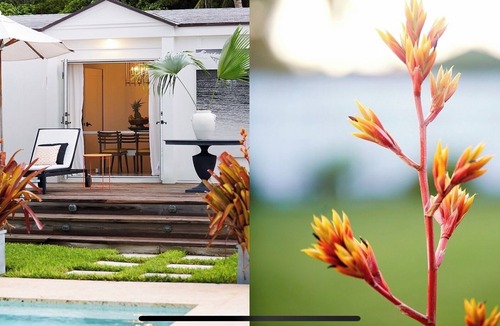 Dunmore Town House | Interior designed 3 bedroom house 2 mins to the pink sand beach, Harbour Island