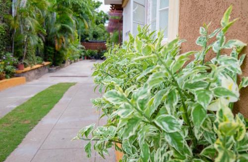 Molynes Gardens Apartment | Kingston Vacation Rentals at Gardens of Bliss 2 - Beautiful Suite with Fishpond, Kingston